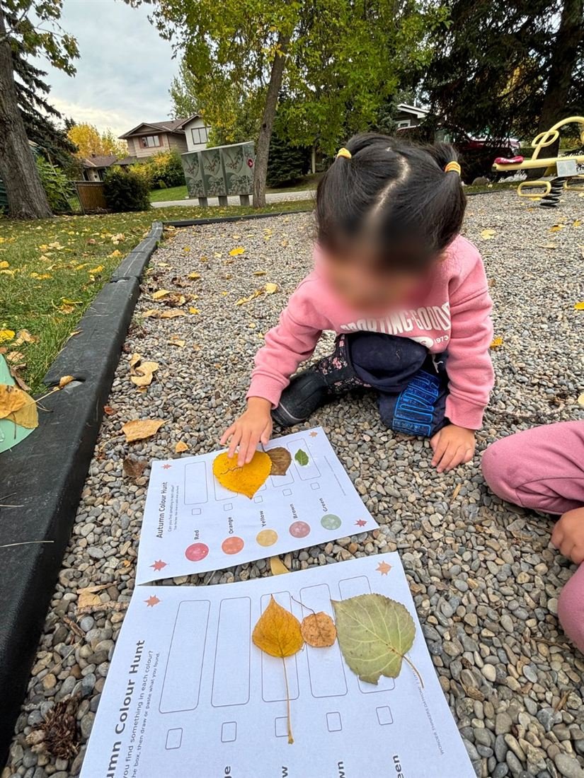 A child with a face blurred for privacy placing a yellow leaf on an Autumn Colour Hunt sheet on a gravel path